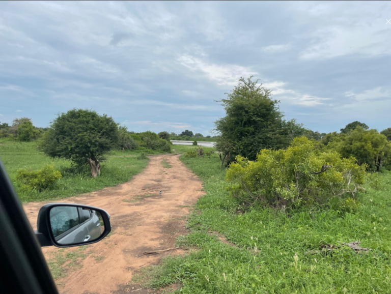 auto in het krugerpark